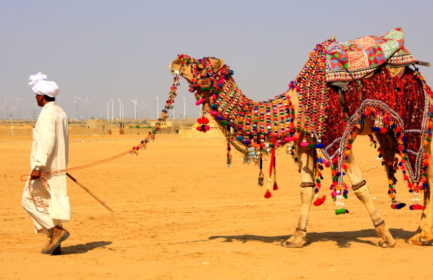 Enjoy Bikaner Camel riding in India