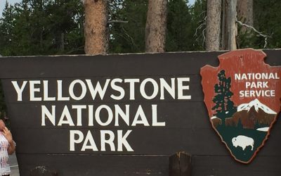 Why You Must Visit Yellowstone National Park, Wyoming